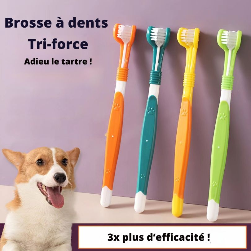 Brosse à dents "Tri-force" pour chien