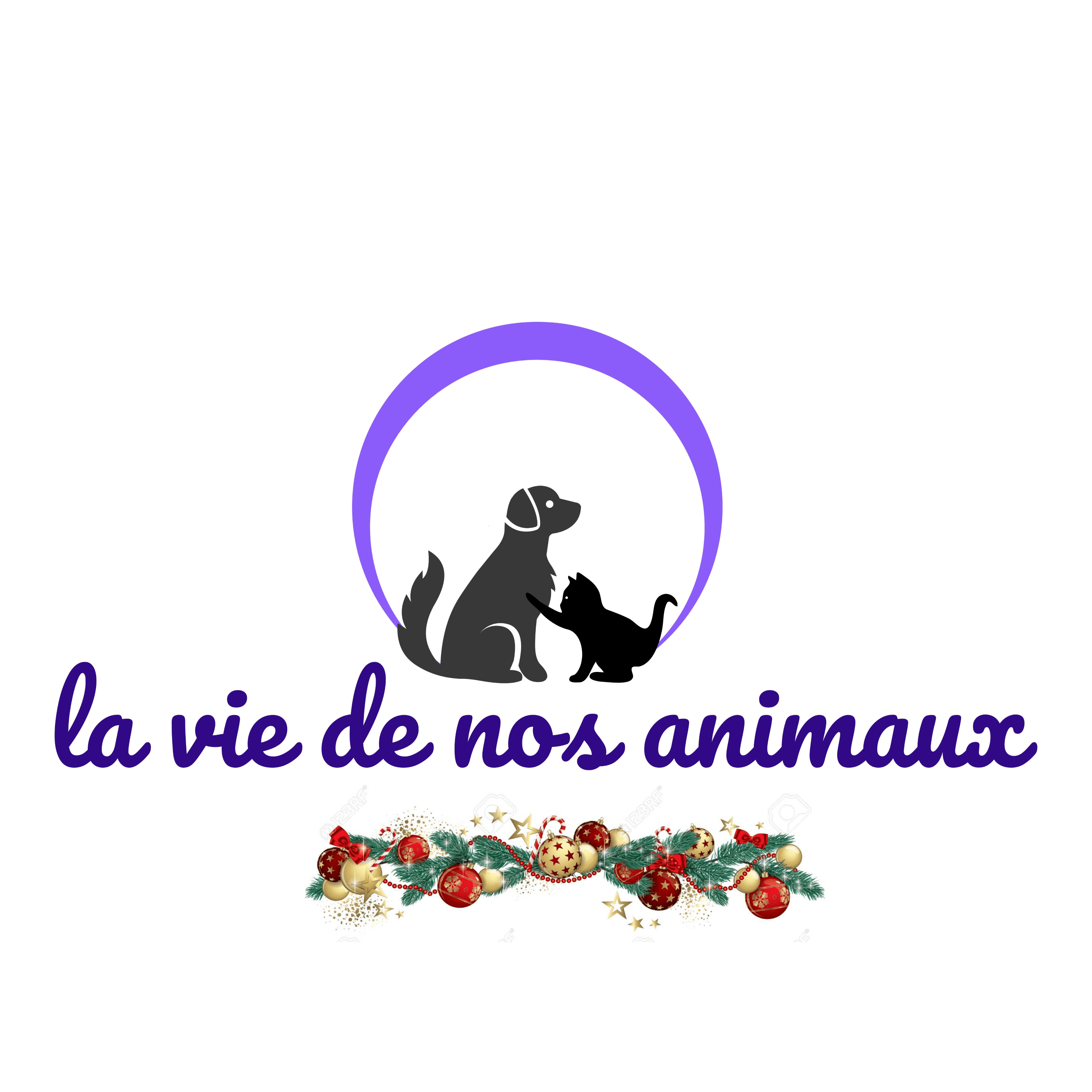 la vie de nos animaux