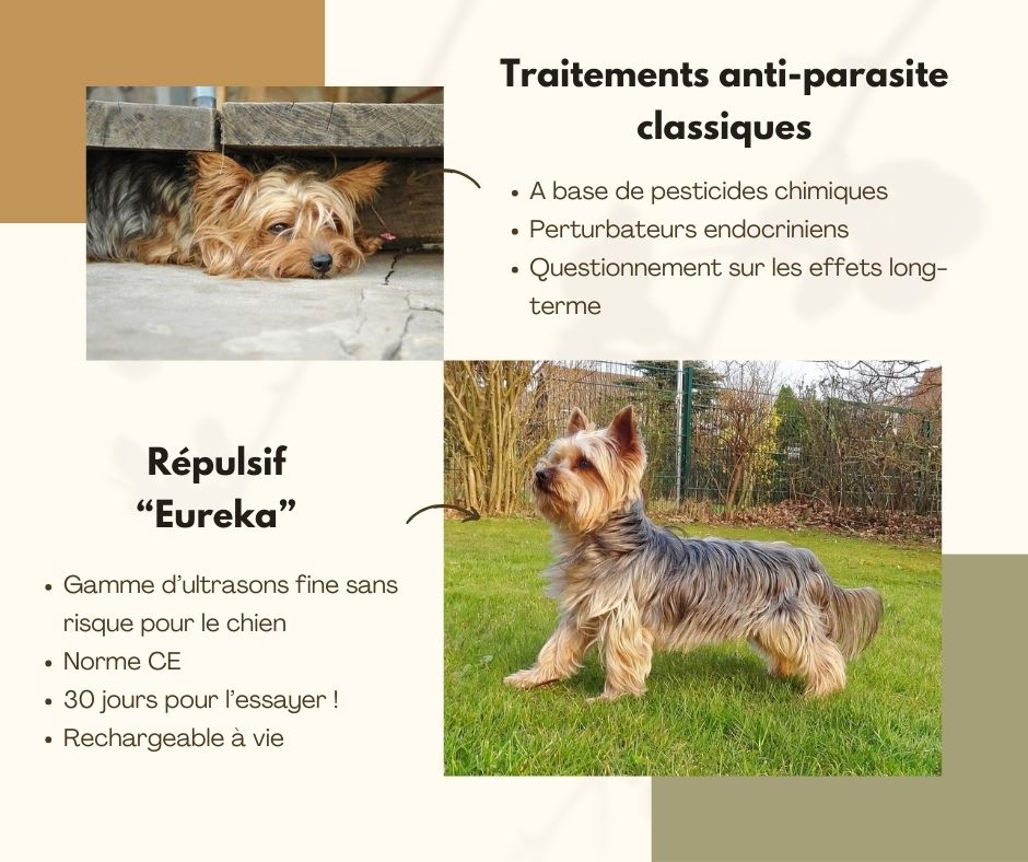 Répulsif anti-parasites "Eureka"