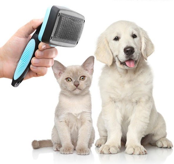 Quelle est la meilleure brosse pour chien ?